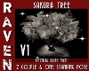 SAKURA SILVER TREE V1!