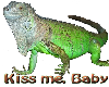 Iguana Kiss