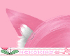 Cat Ear Pink