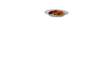 FST Rice And Stew