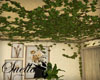 S= ceiling vines Flora