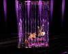 (JS)Purple Cage Dance 