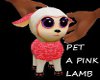 Pet A Pink Lamb