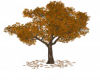 Gig-Autumn Tree Ani