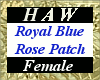 Royal Blue Rose Patch F