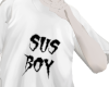 sus boi