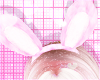 bunny ears v2