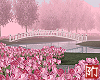 BN| Roses of Versailles