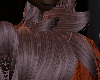 Cinnamon fur