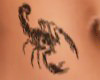 Scorpion Belly Tattoo