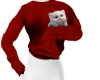 Sweater + cat