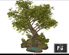 NK-Nature Tree