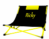 Ricky's Beach Chair