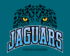 Orelhas Jaguars UCF