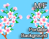 SAKURA BG M/F