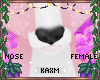 ꨄBlossom Kit Noseꨄ