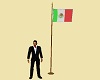 Mexican National Flag