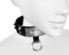 Bailey's Collar