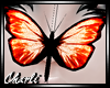 {CS}Orange Butterfly