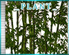 *A* Hillcrest Plant 3