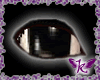 [Kaz] Black Sin Eyes