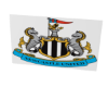 Newcastle Football