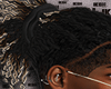 Twists Ponytail