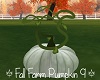 Fall Farm Pumpkin 9