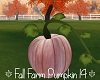 Fall Farm Pumpkin 14