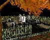NS Park Graveyard Ani/P