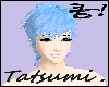 [TS] Tatsu hair 3 male:>