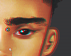 Zayn EyeBrows