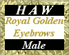 Royal Golden Eyebrows M