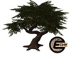 (E) Large Tree