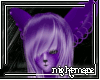 [AN] Purplex Hair *F*