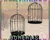 ⚜ Illuminated Cages