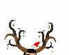 male deer antlers w bulb