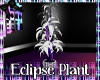 ::JKD:: Eclipse Plant