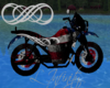 ~LI Animated Motorcyle P