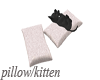 {SIN} pillow with kitten