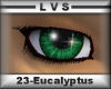 LVSPARKLEIs-Eucalyptus