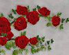 Red Ivy Roses
