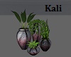 Sensual Plant 4