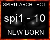 SPIRIT ARCHITECT  P,1