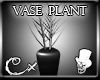 [CX] Summer vase plant