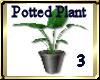 [my]Potted Plant 3