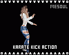 Karate Kick Actions