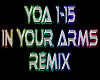 In Your Arms remix