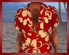Hawaiian Shirt2