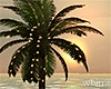 Summer Palm Lights Tree
